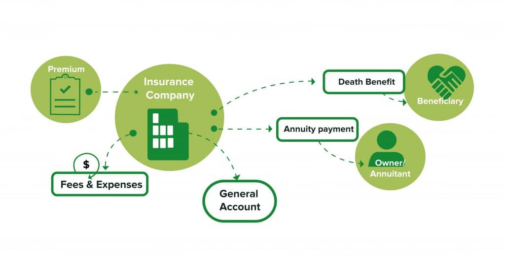 How a Fixed Annuity Works