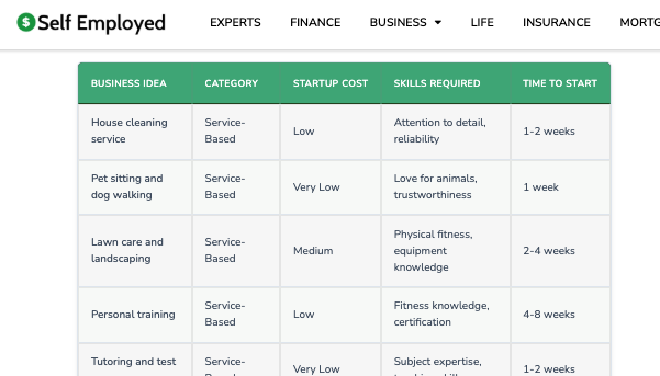 small_business_odeas_report