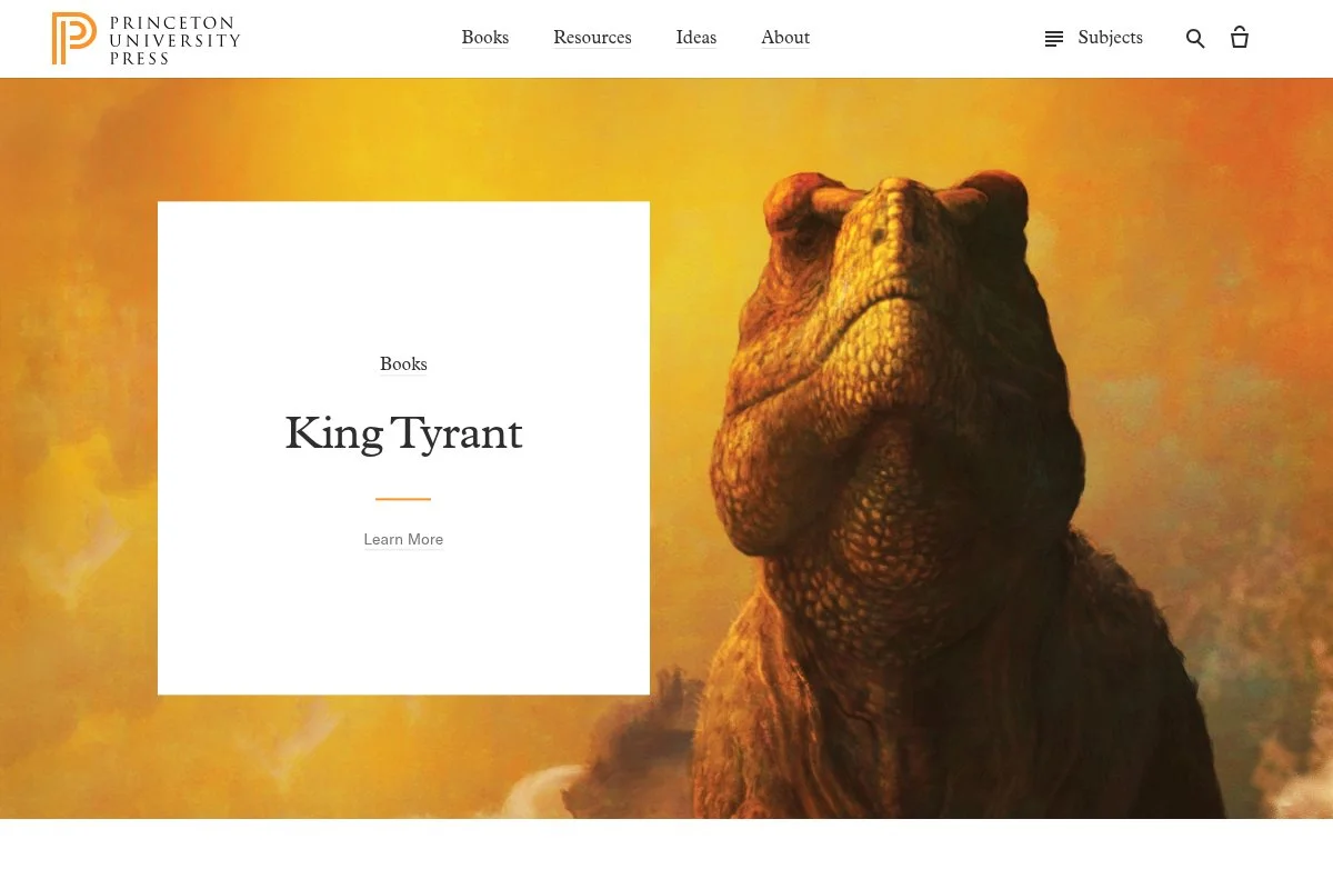 Screenshot of Irrational Exuberance homepage