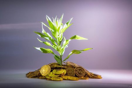 a plant growing in pile of bitcoin looking coins; Passive Income Streams That Actually Work in a High-Tariff, High-Inflation Economy
