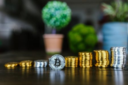 money tree, Bitcoin, other cryptocurrency; Rise of Stablecoins 2026