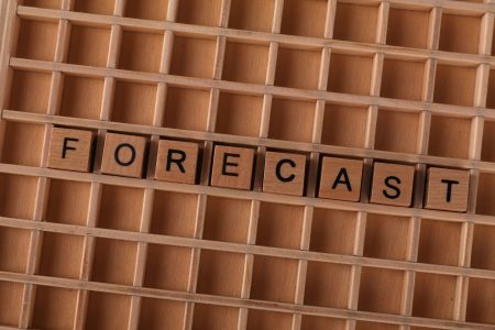 forecast in large lettering in a box; Forecast Cash Flow for the Next 12 Months